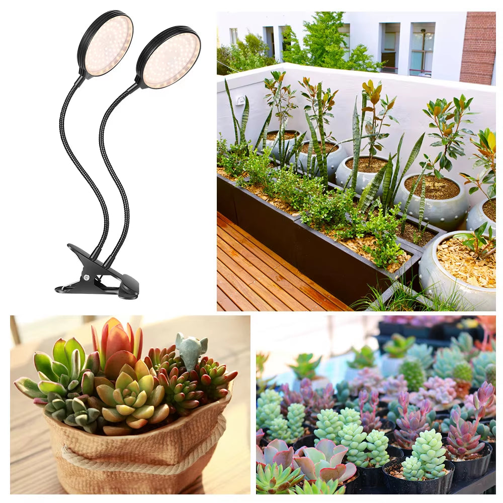 1/2/3/4Heads LED Plant Grow Lights Dimmable Full Spectrum Phyto Lamp with Clip Auto On/Off Timer Indoor Flower Veg Growing Light